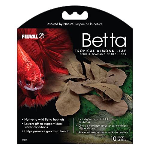 Fluval Betta Tropical Almond Leaves Aquarium Decor, 10-Pack