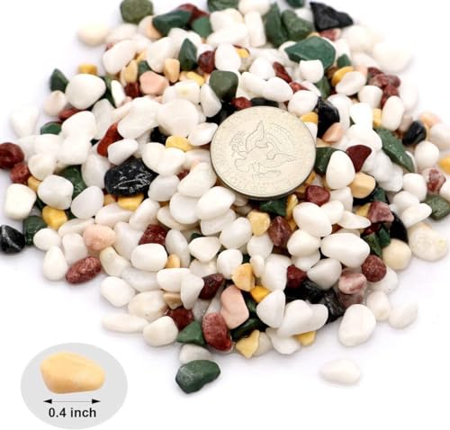TOYPOPOR 6LB Succulent and Cactus Gravel Pebbles, 1/5 Inch Natural Decorative Polished Stones, River Rocks for Plants, Vases, Aquariums, Terrarium and Outdoor Gardening, Mixed Color - color: Five Colors Mixed, size: 6 lb