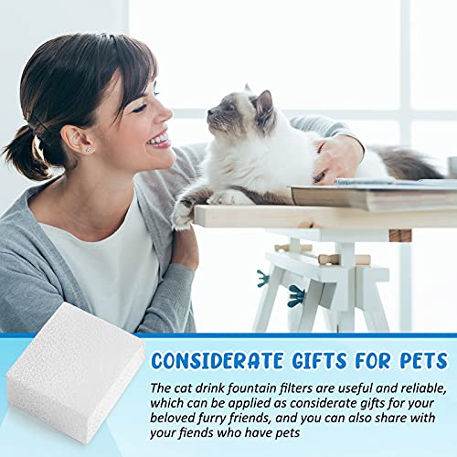 Mudder 12 Pcs Cat Water Fountain Filter Pre Filter Sponge for 67oz/ 2l Pet Water Fountain Trimmable Foam Filters for Dog Cat, Block Shape
