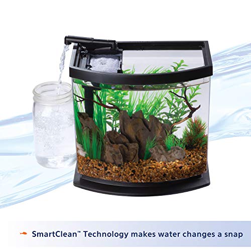 Aqueon LED MiniBow Small Aquarium Fish Tank Kit with SmartClean Technology, Black, 2.5 Gallon - color: Black, size: 2.5 Gallon