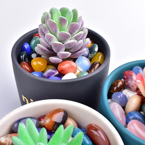 Carnelian Healing Crystal Stone Set - 24 Pieces, 0.6" Natural & Polished Stones for Healing, Meditation, Reiki, Chakra, Crafting & Decoration - color: Carnelian, size: 0.6"