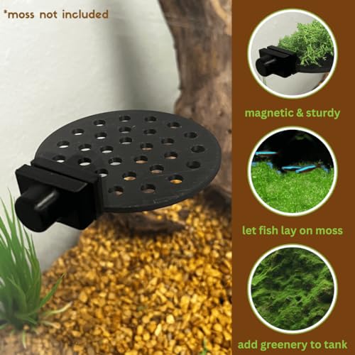 Chatelet REEFSHAPE Aquarium Moss Ledge | Attachable Moss or Plant Ledge for Fish Tanks | Platform for Aquatic Plants | Made in USA (3", Green) - color: 3", Green