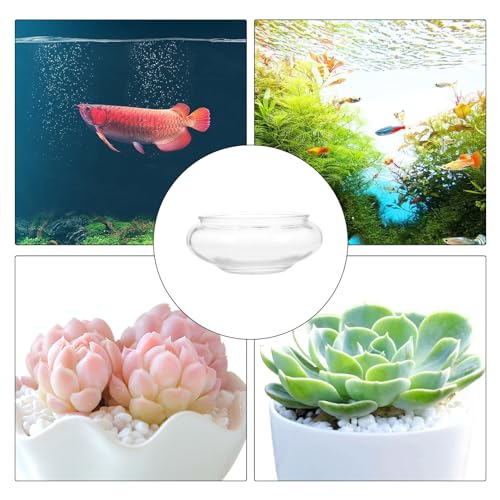 DOITOOL Clear Fish Bowl Vase Glass Bubble Bowl Round Shallow Planter Terrarium Fish Bowl Water Lily Bowl Wide Mouth Flower Vase Aquatic Plant Pot Hydroponic Planter Glass Fish Tank Bowl, S - size: 15.00X15.00X6.00CM