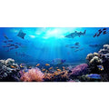 AOFOTO 8x4ft Underwater World Backdrop for Photography Aquarium Seabed Rocks Lights Coral and Fishes Tropical Ocean Scene Under The Sea Background Kids Party Decoration Banner Photobooth Props - size: 8x4ft