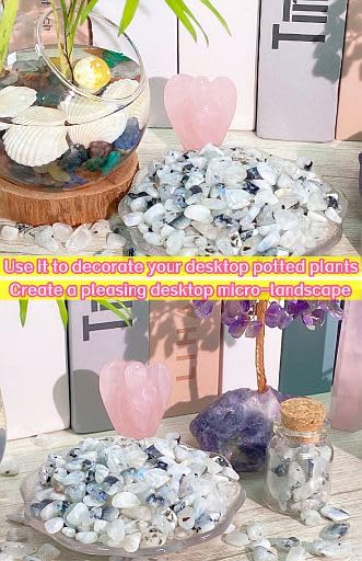 YATOJUZI Moonstone Aquarium Gravel Rocks Bulk Wholesale Tumbled Crystals Stones Chips Crushed Reiki Energy Balancing Gemstones for Planters Vase Filler Fountain Fish Tank Potted Decor 0.44LB - color: Moonstone, size: 0.44 Pound