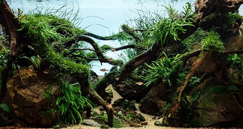 48x24 inches Aquarium Fabric Background Grass Leaves with Stone Aquarium Backdrop River Bed & Lake Aquatic Plant Fish Tank Aquatic Plants Background - size: 48X24inch