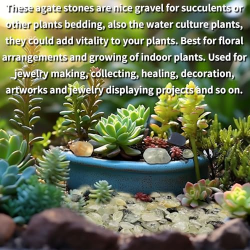 0.45 LB Polished Agate Stones Natural Decorative Rocks for Outdoor Decoration Home Decoration Fish Tank Vase Filler DIY Handmade Bamboo Succulents Cactus (Grape Stone) - color: Grape Stone