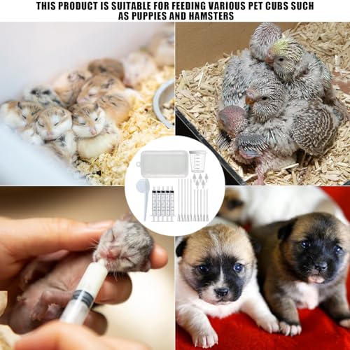 Baby Bird Feeding Syringe Set, Pet Parrot Milk Feeding Syringe with Tubes, Parrot Feeding Tubes Measuring Tools for Feeding Pets Scientific Industrial Labs… (5 pcs 3ml) - color: 5 pcs 3ml