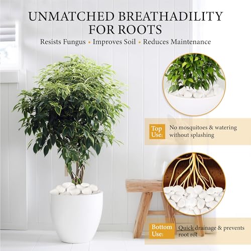 18lb White River Rocks for Plants, 1-3 Inch Pebbles for Indoor Plants, Polished Garden Rocks Outdoor Landscaping, Decorative Stones for Vases, Succulents, Aquarium, Walkways