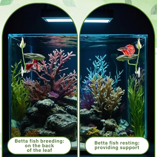 QfwdfcTrenz 3 Pcs Betta Fish Bed Betta Leaf Hammock Suction Cup Tank Decor Fish Toys Leaf Pad Leaves Tank Accessories Simulates Natural Habitat Comfortable Rest Area