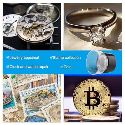 Rongon Professional Jewelers Loupe 10X Magnification Small Magnifying Glass Lightweight Pocket-Sized Magnifier for Gemstone Appraisal, Coin Collecting, Watch Repair & Hobbyistsy