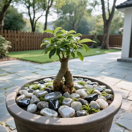 0.96LB Natural Pebbles Crushed Stones Aquarium Gravel Succulent Rocks Vase Filler Fish Tank Decorative Polished Bulk Irregular Shaped - Aquatic Agate - color: Aquatic Agate