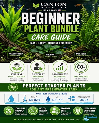 Assorted Mixed Plant Bundle - Live Aquarium Plant - Freshwater - Low | Medium | High Light