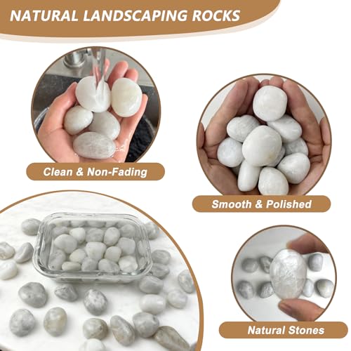 5LB White River Rocks, High Polished 1–2 inch Decorative Pebbles for Indoor Plants, Aquarium & Fish Tank Rocks, Garden Landscaping Stones, Vase Fillers, Lava Rocks for Plants & Pathway Decor