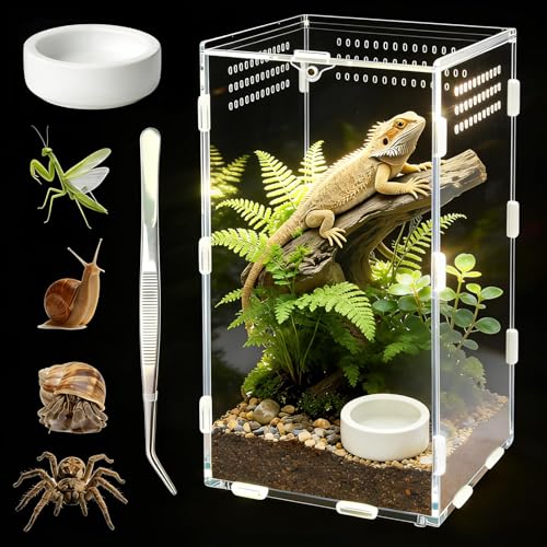 Jumping Spider Enclosure, Acrylic Terrarium with Magnetic Door & All-Side Ventilation, Easy-Clean Habitat for Spider, Tarantula, Mantis, Snail-5.9" x 5.9" x 9.8"(Tweezer and Bowl Included) - size: Basic Vertical-Kit