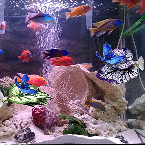 Betta Fish Leaf Pad Hammock Simulating Habitat Resting Fish Rest Bed Decor Betta Fish Leaf Pad with Suction Cup