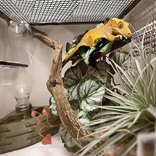 Woyrise Reptile Artificial Plants for Terrarium Decor, Amphibian Habitat Hideout Bearded Dragon Tank Decorations fit Crested Gecko Leopard Lizard Chameleon Ball Python Snake Frog - Saxifrage