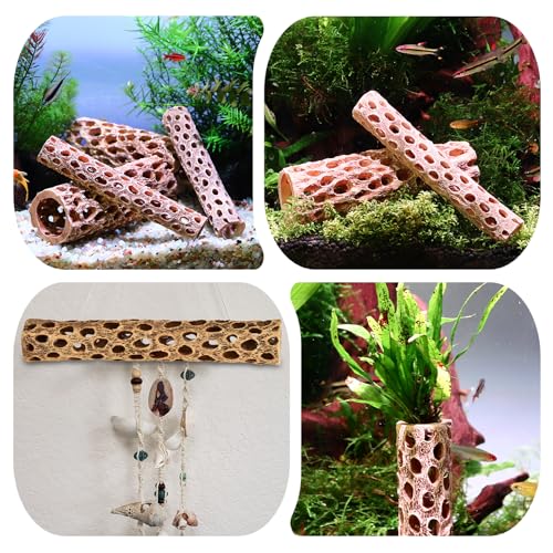 6“ Resin Cholla Wood Aquarium Décor Wood- Realistic Shrimp Hideout & Climbing Toy (6" L×1”Dia, 2pcs)