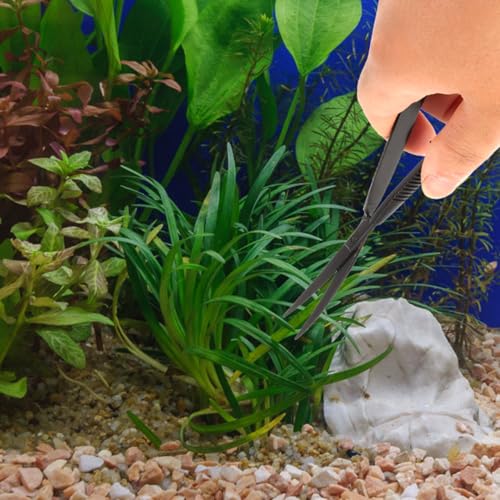 POPETPOP 6.1 Inch Curved Aquarium Scissors Water Grass Shears Spring-Loaded Precision Pinch Action for Aquascaping and Small Plant Trimming