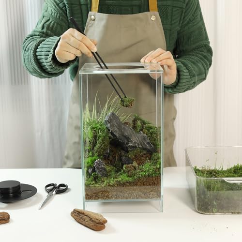 Desktop Glass Plant Terrarium with Grow Light(L7.8 W7.8 H14), for Succulent, Moss, Miniature Gardening Landscape, Betta Fish Tank, Indoor Plant Growth, Office Home Decoration (TimeControlled)