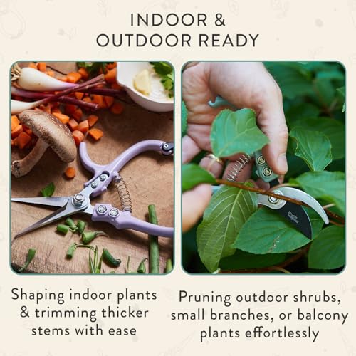 Modern Sprout Hand Pruners & Shears Set w/blister - Lightweight Gardening Tools - Easy Lock - Sharp Carbon Steel Blades - Rust Resistant Scissors for Herbs & Flowers - Gift for Father's Day - Ocean - color: Ocean