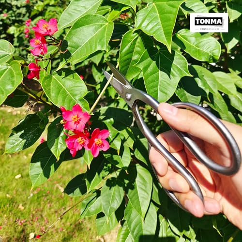 TONMA Ashinaga Bonsai Scissors [Made in Japan] 8 inch Soild Stainless Steel Hasami Pruning Shears Ultra Sharp & Rust-proof, Japanese Bonsai Garden Tools - style: Ashinaga Bonsai Shears