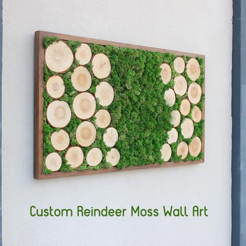 Preserved Reindeer Moss Natural Green DIY Kit Gardenning Art Wall Decor Florist Decor Easter Table Decor Wedding - color: Green-02, size: 0.85 lb
