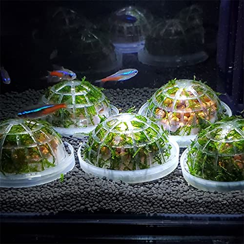 Aquarium Moss Ball Holder, Fish Tank DIY Moss Ball Shape Former Modeling, Moss Ball Holder Filter for Aquarium Moss Plant Landscape Decor Fish Tank Scenery Ornament (4 Pack)