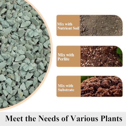 YISZM Succulents and Cactus Green Zeolite Rocks, Decorative Stones Pebbles for Indoor Plants, Bonsai, Fairy Gardening, Vases Fillers, Terrarium, 10lb - color: Green Zeolite Rocks, size: 10 Pounds