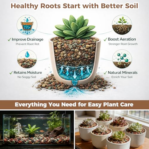 44lb Mix Lava Rocks for Plants 3/8" Horticultural Pumice for Plants, Succulent Cactus Soil Potting Mix - Horticultural Sand Aquarium Gravel Drainage Rocks for Potted Plant, Bonsai Soil, Top Dressing - size: 3/8 Inch