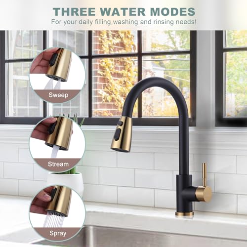Black and Gold Kitchen Faucet with Sprayer, WOWOW Kitchen Sink Faucet Stainless Steel Single Handle Kitchen Faucets with Deck Plate, 360 Swivel High Arc Single Hole RV Kitchen Faucet - color: Black & Gold, style: Kitchen Faucet