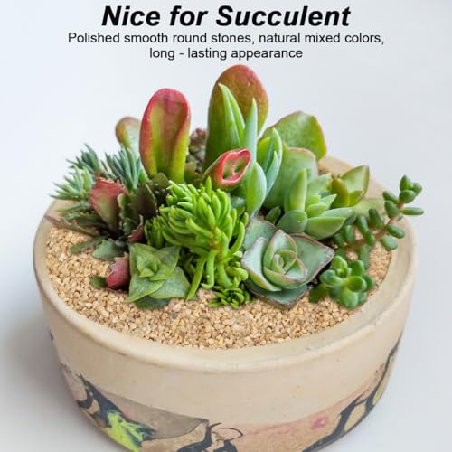 Succulent and Cactus Gravel Pebbles,Landscaping Pebbles,River Rocks,Garden Landscaping Stones,Gravel Filler for Home Decoration Flower Bed Fish Tank Plants Vases Succulents (Beige, 10 Pounds) - color: Beige, size: 10 Pounds