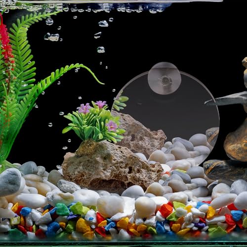 4 Pcs Fish Tank Decorative Mirror Betta Training Mirror Fish for Tank Fish Work Out 4/6/8/10cm Special for Betta Fitness Mirror, with Suction Cups Aquarium Mirror Acrylic Decorative Mirror