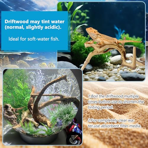 3 Pcs Natural Spiderwood for Aquarium, Aquarium Driftwood Freshwater 10-12 Inch, Assorted Size Spider Wood, Twisted Branches for Fishtank Accessories, Reptile Terrariums Decorations - color: 3 PackSpiderwood 10-12in