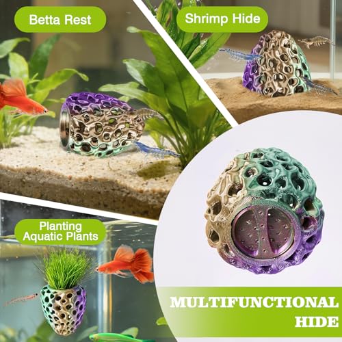 Shrimp Dome Hide, Shrimp Hides for Aquarium, Betta Fish Hideout with Suction Cup, Betta Habitat Tank Ornament Accessories, Aquarium Decor for Small Fish Guppy Hiding Resting (Lid Green Purple) - color: Green Purple Gradient with Lid