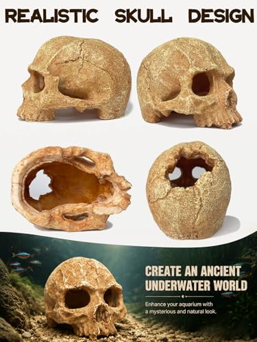 Aquarium Decor - Small Skull Hiding Cave for Fish Tank, Aquarium Hideout Ornament with Skull Texture for Betta, Guppy, Shrimp, Spider - Aquatic Hide Decoration, Fish Hiding House（White） - color: Hollow Skull Décor - White