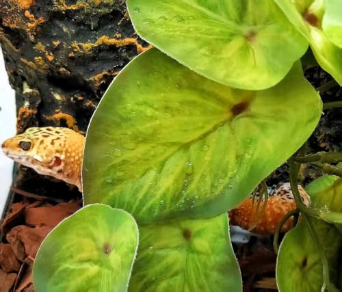 Reptile Plants for Terrarium Decor, Amphibian Habitat Decor, Snake Tank Accessories, Artificial Hanging Plants with Suction Cup-2 Packs (Arrowhead) - color: Arrowhead