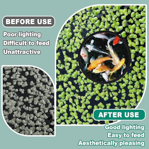 10PCS Fish Feeding Rings, 5 Sizes Oval Aquarium Floating Plant Barriers, Foam Fish Feeder Rings, Fish Tank Aquarium Accessories for Fish, Floating Plant - Black