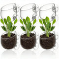 Hiceeden 6 Pcs Aquatic Plant Holder, Glass Aquarium Plant Pot with Suction Cup, Red Worm Cups Fish Feeder for Fish Tank Aquascape Decoration