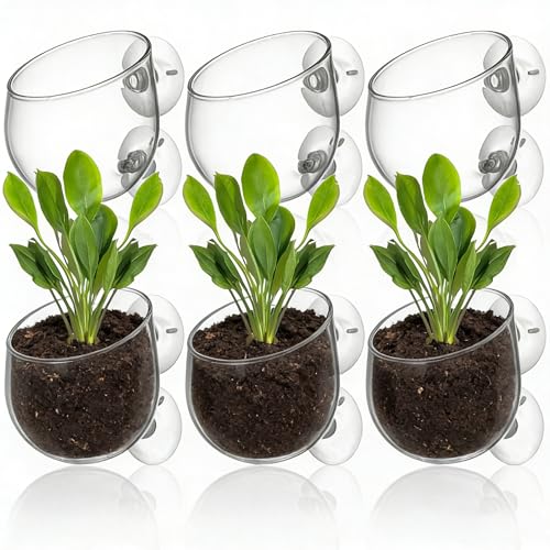 Hiceeden 6 Pcs Aquatic Plant Holder, Glass Aquarium Plant Pot with Suction Cup, Red Worm Cups Fish Feeder for Fish Tank Aquascape Decoration