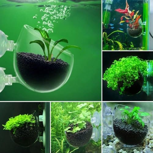 4 Pcs Aquarium Plant Pot Planter, Glass Fish Tank Plants Holder, Aquarium Decoration Plant Cup with Suction Cups for Fishes Tank Ornament Aquarium Décor Plastic Plants Fish and Aquatic Pets