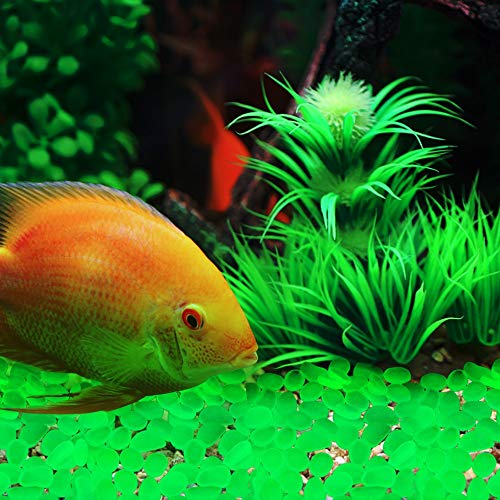 Oubest Glow in The Dark Rocks Glow Pebbles Decor for Garden/Fish Tank/Aquarium/Walkway/Driveway/Plant Pots/Bonsai (100, Green) - color: Green