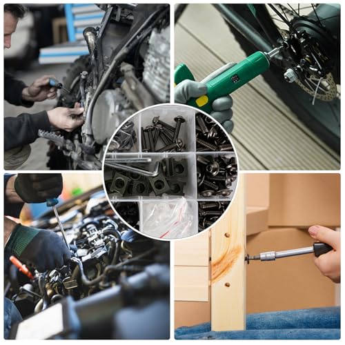 Motorcycle Fairing Bolt Kits Stainless Steel M5 M6 Windscreen Screws Fastener Clips Universal Fit for Sportbike Kawasaki Suzuki Honda Yamaha BMW Ducati GSXR Titanium (195Pcs) - color: Titanium
