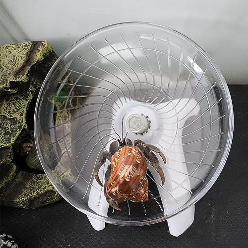 Hermit Crabs Wheel Toy, Hamster Running Wheel Toys, Small Animals Cage Accessory, Tank Accessory, Suitable for Hermit Crab Hamster Rat - color: White, size: Large