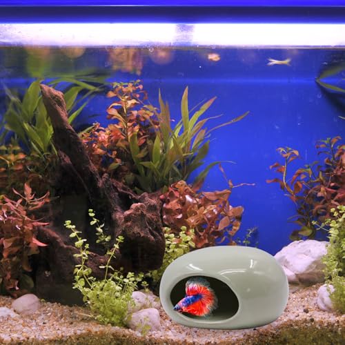 Saim Aquarium Ceramic Cave Decorations, Betta Fish Tank Accessories for Shrimp Cichlid Hiding Breeding Small Fish Bowl Hide Toys Hideout House - Light Green