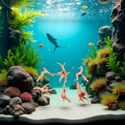 1 Pc Natural Aquarium Driftwood Branches Wood Aquarium Trunk Driftwood Tree Fish Tank Log Decoration Plant Stump, Aquarium Décor Thematic Ornaments Assorted (8-10cm)