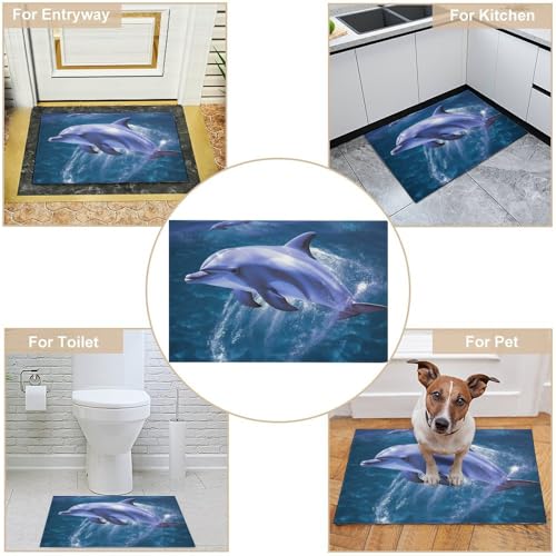 Outdoor Door Mat 15.7" X 23.6" Non-Slip Doormat Blue Ocean Dolphin Front Door Mats Quick Dry Welcome Mats for Outdoor Indoor Entrance Mat Home Decor Floor Mats for Patio - color: Blue Ocean Dolphin