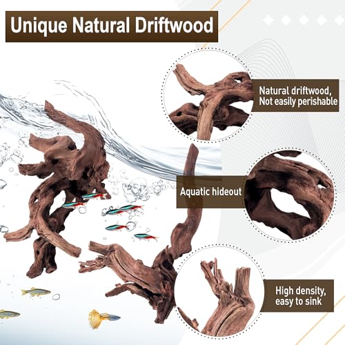 Kaiyuan Dynasty 2Pcs 10-12" Natural Coral Driftwood for Fish Tank Decorations Aquarium Driftwood for Reptile Aquatic Plants Aquascaping - size: Driftwood 10 to 12 Inch(Pack of 2)