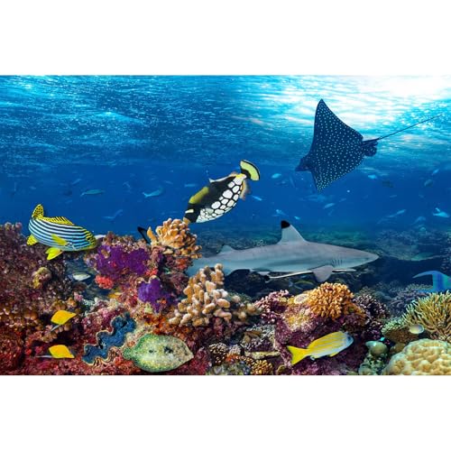 Under The Sea Aquarium Background Sea Turtle Shark Tropical Fish Terrarium Background Deep Blue Sea with Sunbeams Fish Tank Backdrop Colorful Coral Reef Fish Group Ocean Backgrounds 24x12in - color: Dark Blue, size: 24(W)x12(H)in