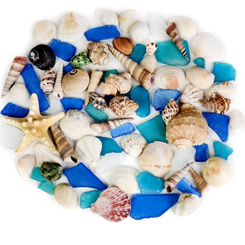 Natural Mixed Seashells Conch Starfish Sea Glass 1-2.8 Inch,16.5 OZ Bulk Ocean Beach Theme Party Decor for Coastal Crafts,Resin Arts, Aquarium Decor,Wedding Table Shells,Nautical Home Vase Fillers - color: Mixed/Seaglass